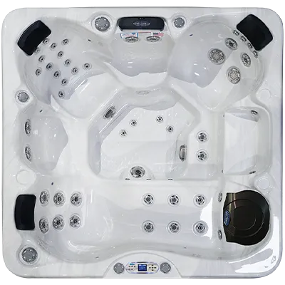 Avalon EC-849L hot tubs for sale in Pasco