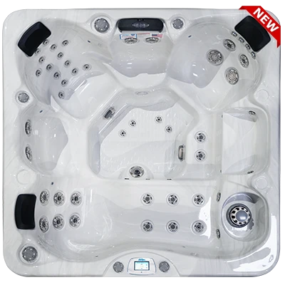 Avalon-X EC-849LX hot tubs for sale in Pasco