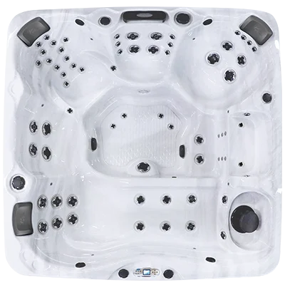 Avalon EC-867L hot tubs for sale in Pasco