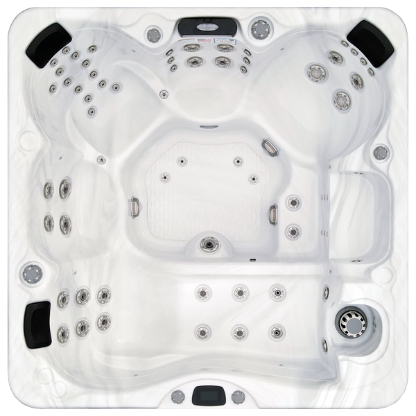 Avalon-X EC-867LX hot tubs for sale in Pasco
